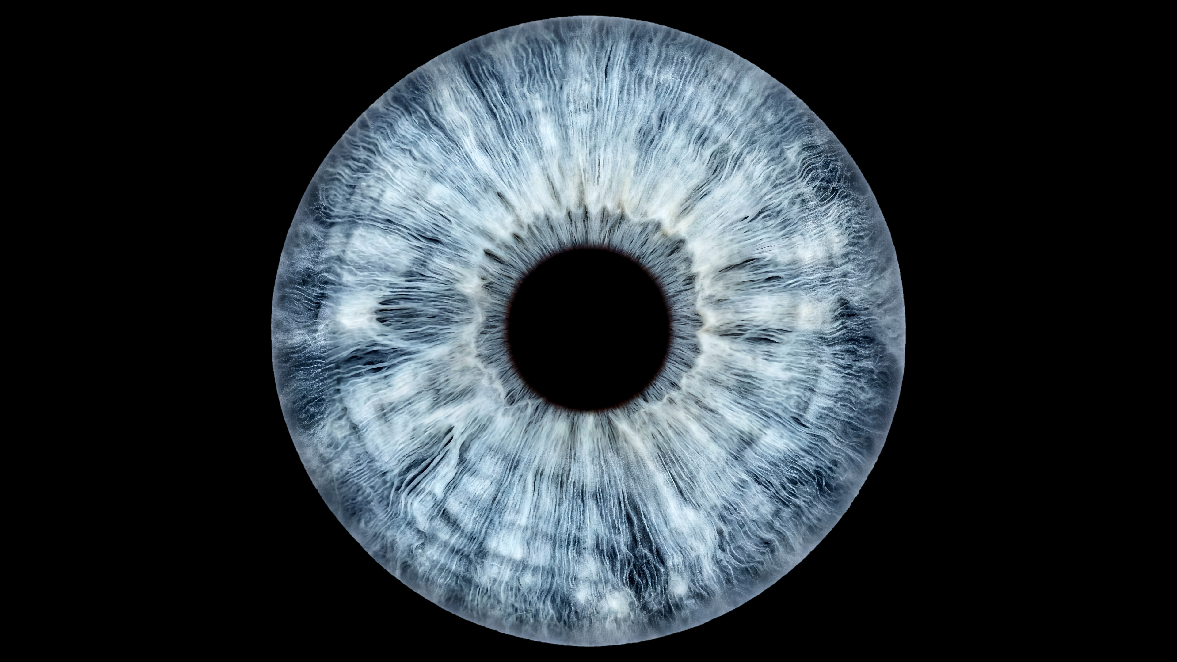 Blaues Iris-Motiv