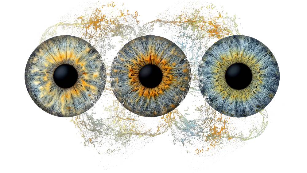 Iris-Trio Motiv
